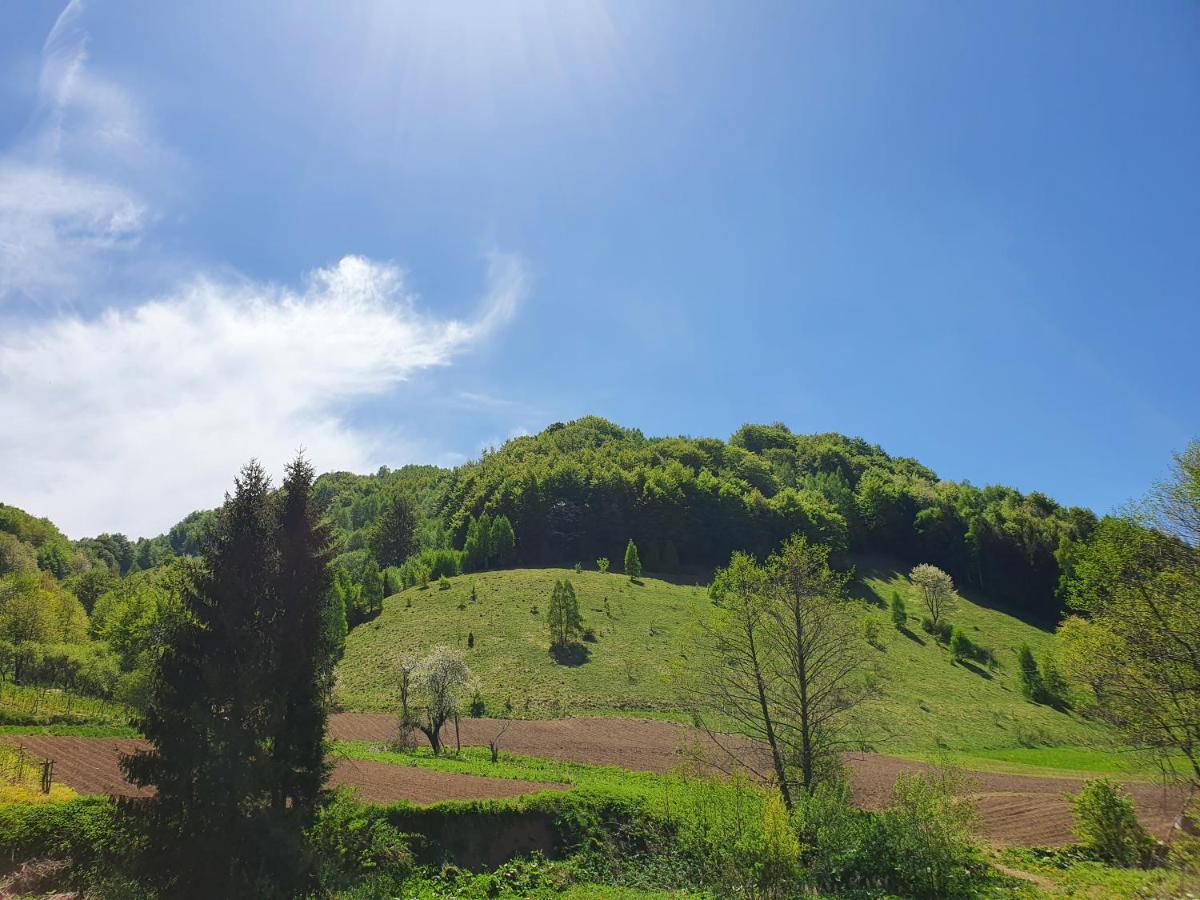 Planinsko Jutro - Brzece Centar Apartments, Kopaonik 외부 사진